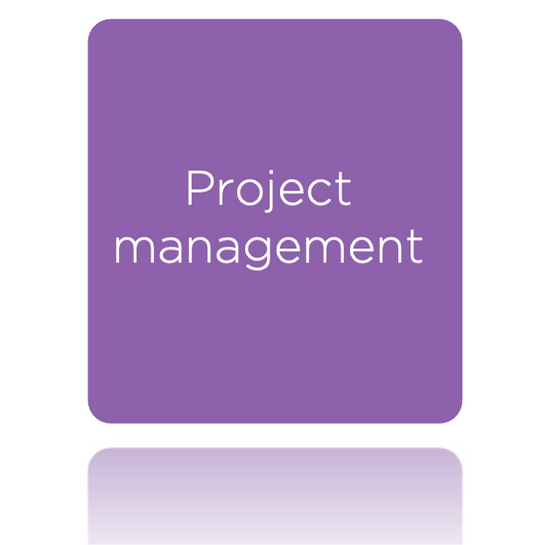 Project Management